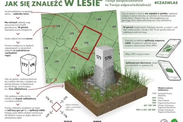 Leśne słupki oddziałowe – jak działają i dlaczego mogą uratować życie