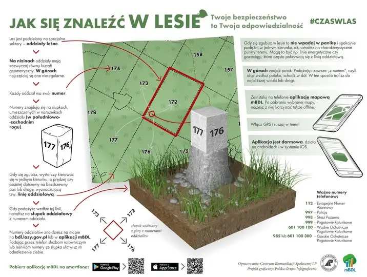 Leśne słupki oddziałowe – jak działają i dlaczego mogą uratować życie