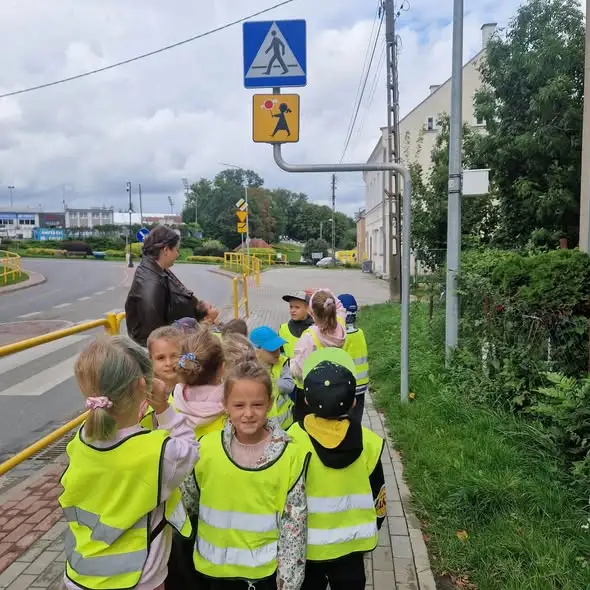 Biedronki i Ananaski uczą się bezpieczeństwa na drodze