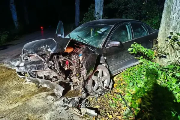 Nocny wypadek na trasie Głowbity – Dłużec. Sarna wbiegła przed Audi