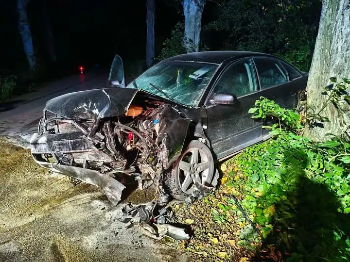 Nocny wypadek na trasie Głowbity – Dłużec. Sarna wbiegła przed Audi