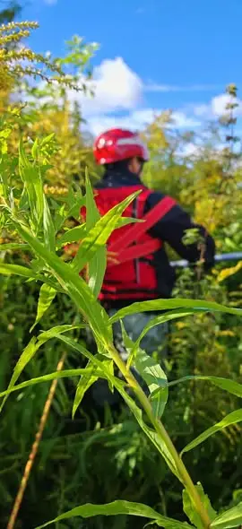 Poszukiwania zaginionej osoby w rejonie rzeki Guber. Służby z Kętrzyna i okolic w akcji