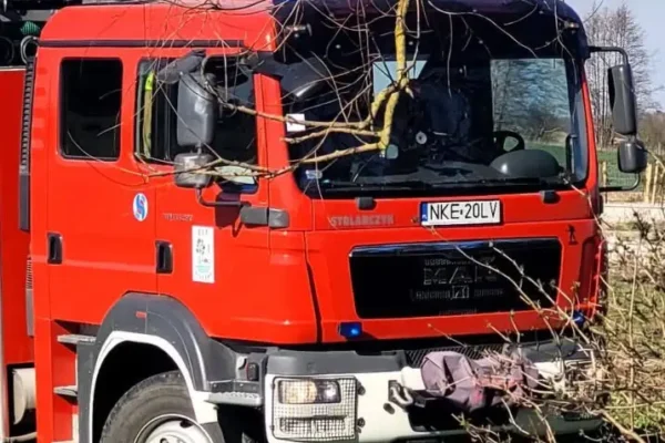 Lody od Lewiatana dla MDP Srokowo – gest, który docenia młodzież