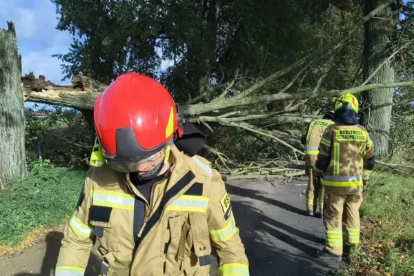 Wichura w gminie Srokowo: wiatrołom i konar uszkodziły samochód