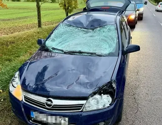 Kętrzyn: Auto zderzyło się z łosiem na drodze wojewódzkiej. Kierująca nie ucierpiała