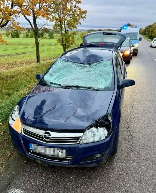Kętrzyn: Auto zderzyło się z łosiem na drodze wojewódzkiej. Kierująca nie ucierpiała