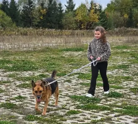 Klasa 4c z Pudwąg z wizytą w schronisku — dzieci pomagają zwierzętom