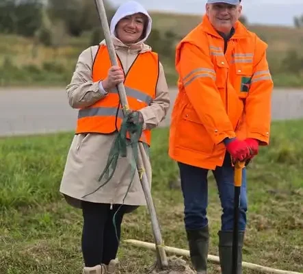 150 nowych lip przy drodze wojewódzkiej 590. Mieszkańcy Barcian posadzili drzewa