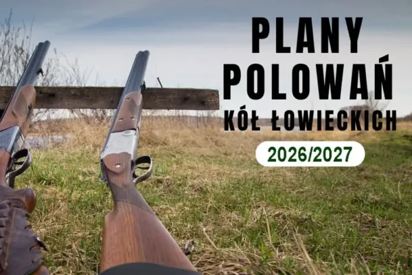 Gmina Kętrzyn informuje o planach polowań zbiorowych na sezon 2026/2027