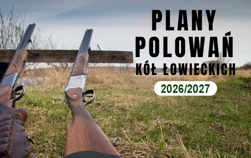 Gmina Kętrzyn informuje o planach polowań zbiorowych na sezon 2026/2027